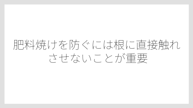 肥料焼けを防ぐには根に直接触れさせないことが重要