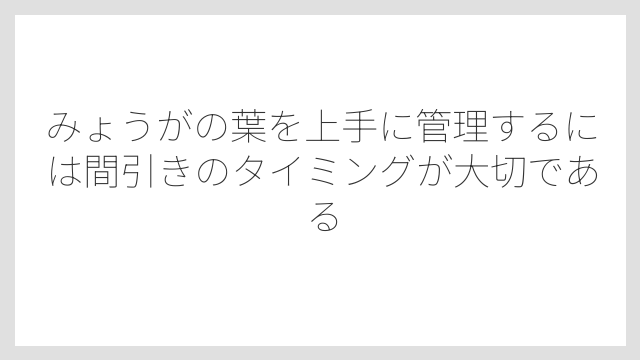 みょうがの葉を上手に管理するには間引きのタイミングが大切である