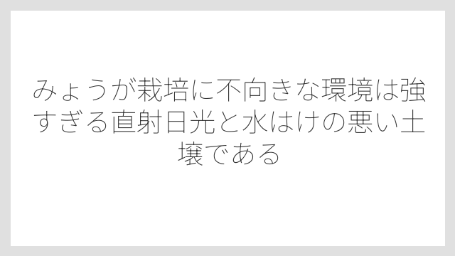 みょうが栽培に不向きな環境は強すぎる直射日光と水はけの悪い土壌である