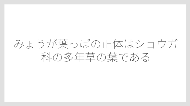 みょうが葉っぱの正体はショウガ科の多年草の葉である