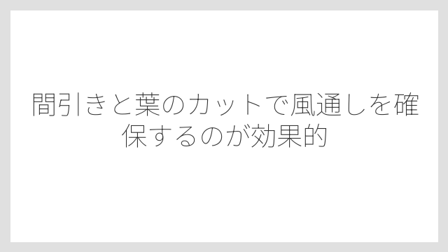 間引きと葉のカットで風通しを確保するのが効果的