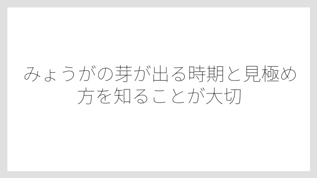 みょうがの芽が出る時期と見極め方を知ることが大切