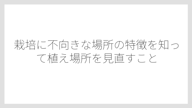 栽培に不向きな場所の特徴を知って植え場所を見直すこと