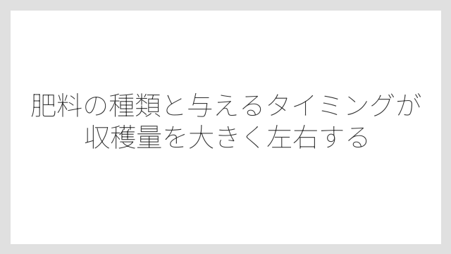 肥料の種類と与えるタイミングが収穫量を大きく左右する