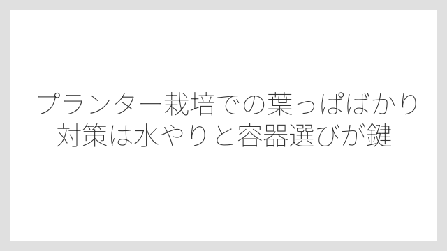プランター栽培での葉っぱばかり対策は水やりと容器選びが鍵