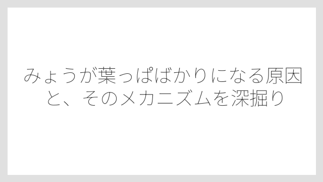 みょうが葉っぱばかりになる原因と、そのメカニズムを深掘り