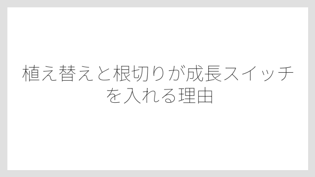 植え替えと根切りが成長スイッチを入れる理由