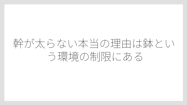 幹が太らない本当の理由は鉢という環境の制限にある