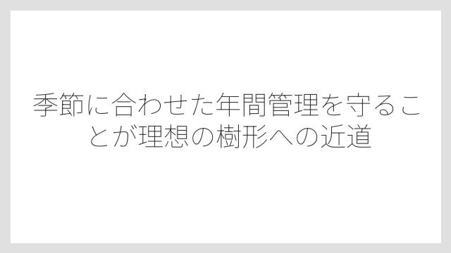 季節に合わせた年間管理を守ることが理想の樹形への近道