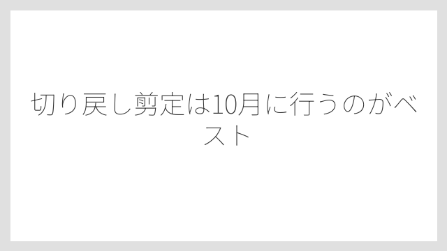 切り戻し剪定は10月に行うのがベスト