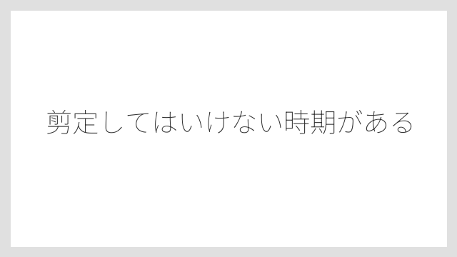 剪定してはいけない時期がある