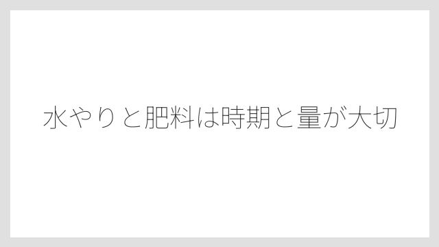 水やりと肥料は時期と量が大切