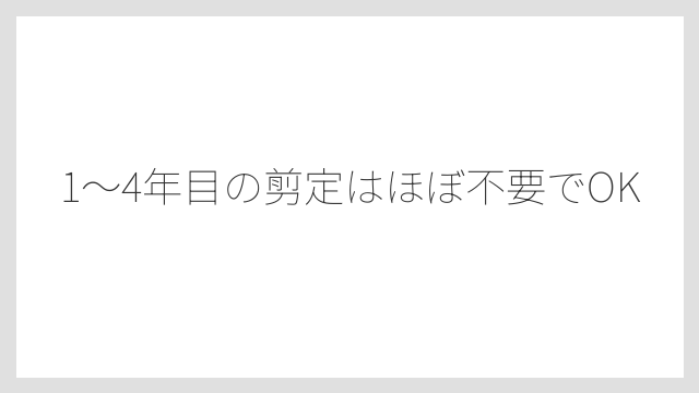 1〜4年目の剪定はほぼ不要でOK