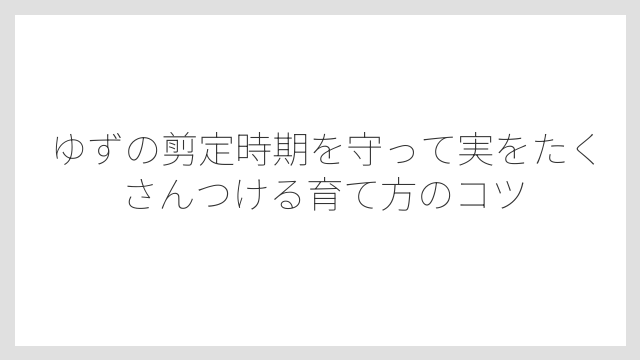 剪定に必要な道具はこれだけ揃えれば大丈夫