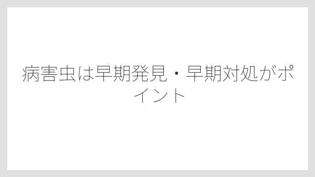 病害虫は早期発見・早期対処がポイント
