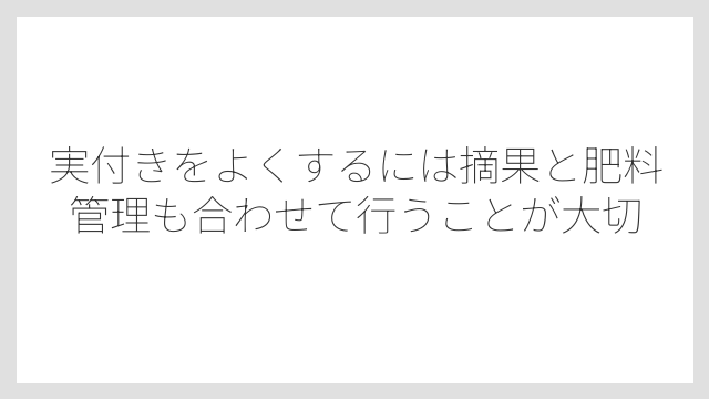 実付きをよくするには摘果と肥料管理も合わせて行うことが大切