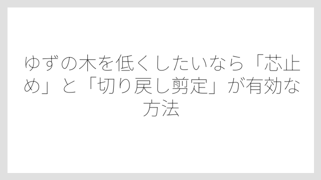 ゆずの木を低くしたいなら「芯止め」と「切り戻し剪定」が有効な方法
