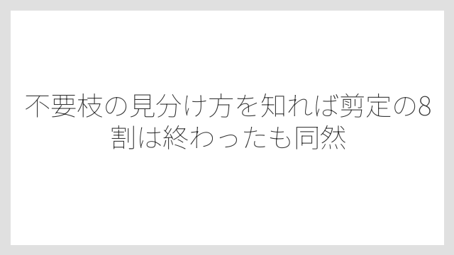 不要枝の見分け方を知れば剪定の8割は終わったも同然
