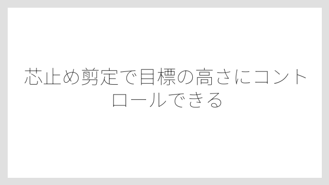 芯止め剪定で目標の高さにコントロールできる