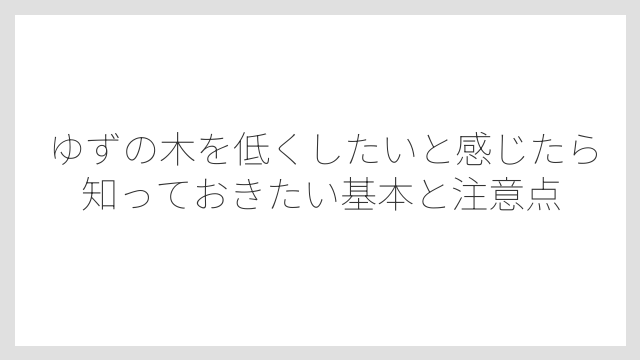 ゆずの木を低くしたいと感じたら知っておきたい基本と注意点