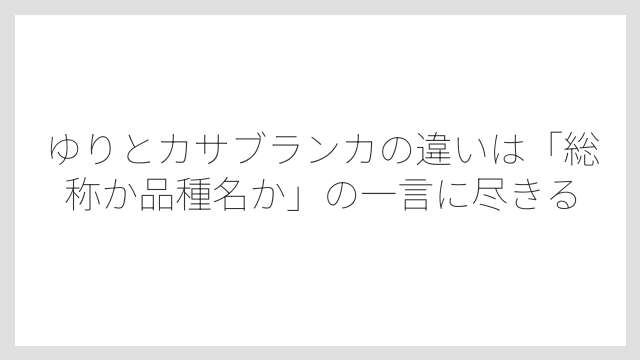 ゆりとカサブランカの違いは「総称か品種名か」の一言に尽きる