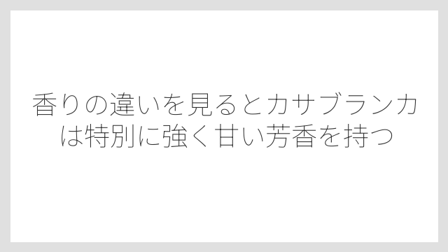 香りの違いを見るとカサブランカは特別に強く甘い芳香を持つ