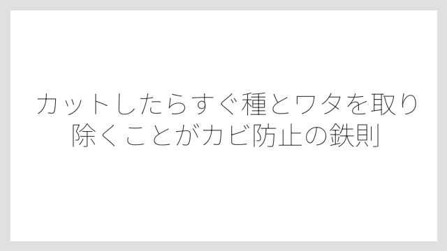 カットしたらすぐ種とワタを取り除くことがカビ防止の鉄則