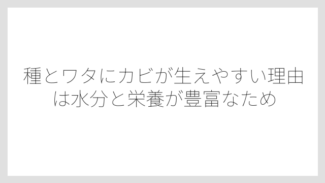 種とワタにカビが生えやすい理由は水分と栄養が豊富なため