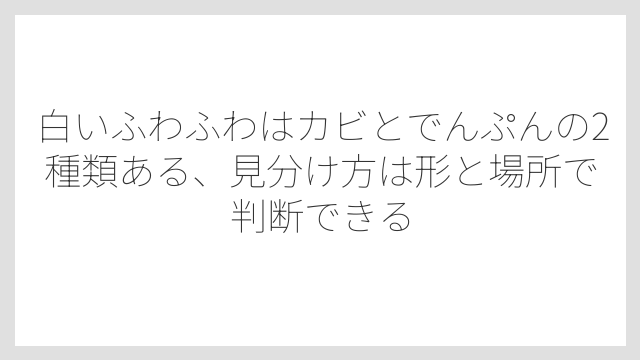 白いふわふわはカビとでんぷんの2種類ある、見分け方は形と場所で判断できる