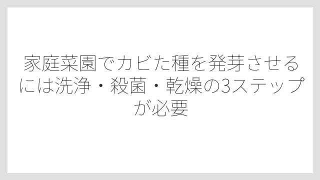 家庭菜園でカビた種を発芽させるには洗浄・殺菌・乾燥の3ステップが必要