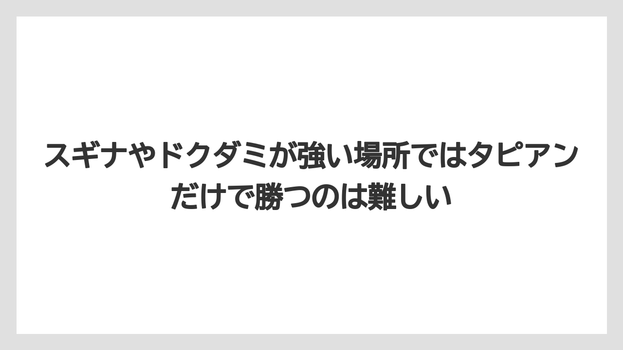 【ほったらかし】【栽培】【植え】スギナやドクダミが強い場所ではタピアンだけで勝つのは難しい