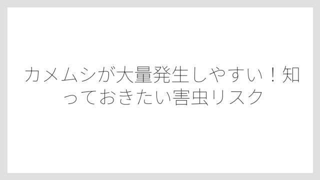 カメムシが大量発生しやすい！知っておきたい害虫リスク