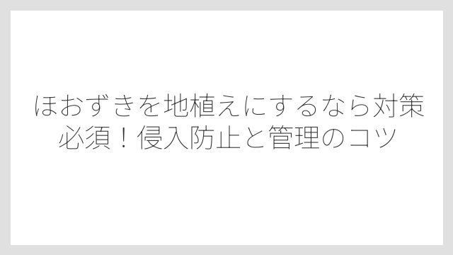 ほおずきを地植えにするなら対策必須！侵入防止と管理のコツ