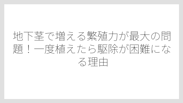 地下茎で増える繁殖力が最大の問題！一度植えたら駆除が困難になる理由