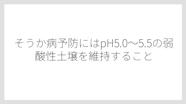 そうか病予防にはpH5.0〜5.5の弱酸性土壌を維持すること