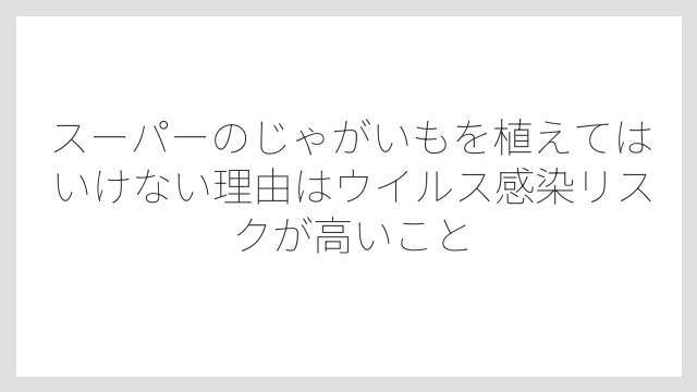 スーパーのじゃがいもを植えてはいけない理由はウイルス感染リスクが高いこと