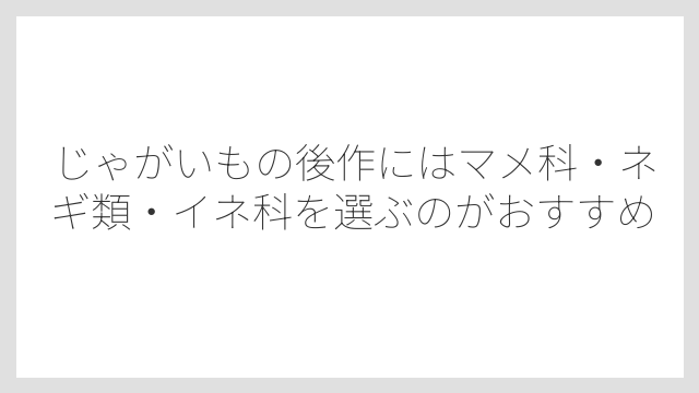 じゃがいもの後作にはマメ科・ネギ類・イネ科を選ぶのがおすすめ