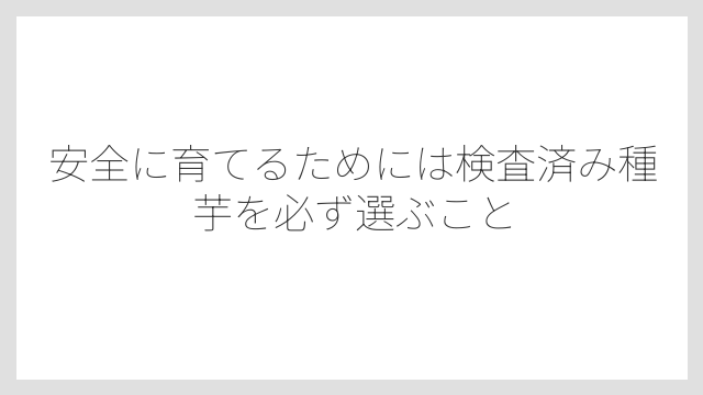 安全に育てるためには検査済み種芋を必ず選ぶこと