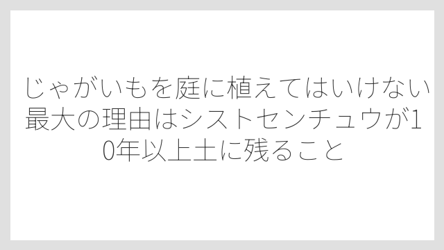 じゃがいもを庭に植えてはいけない最大の理由はシストセンチュウが10年以上土に残ること