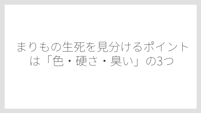 まりもの生死を見分けるポイントは「色・硬さ・臭い」の3つ
