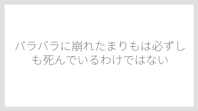バラバラに崩れたまりもは必ずしも死んでいるわけではない