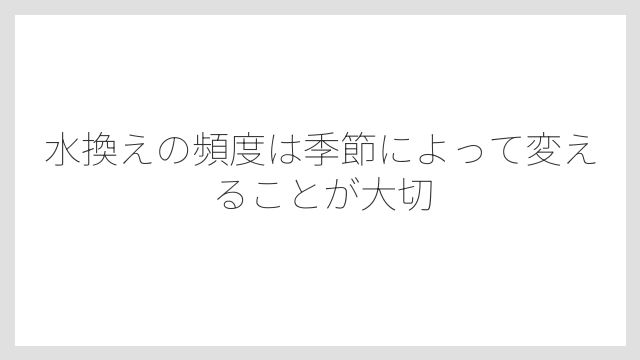 水換えの頻度は季節によって変えることが大切