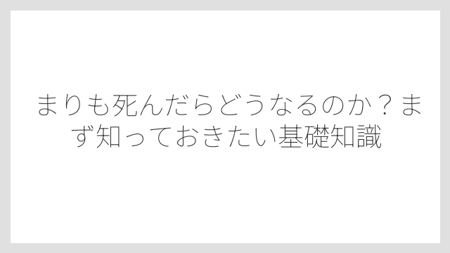 まりも死んだらどうなるのか？まず知っておきたい基礎知識