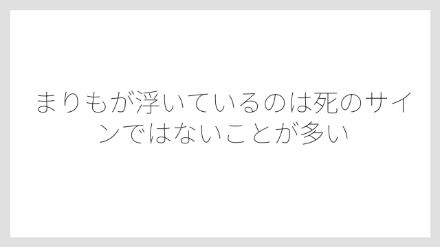 まりもが浮いているのは死のサインではないことが多い