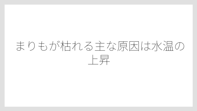 まりもが枯れる主な原因は水温の上昇