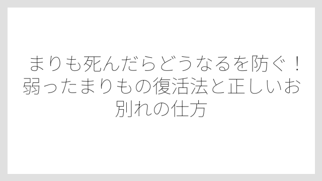 まりもの寿命は正確にはわかっていないが数百年以上になることも