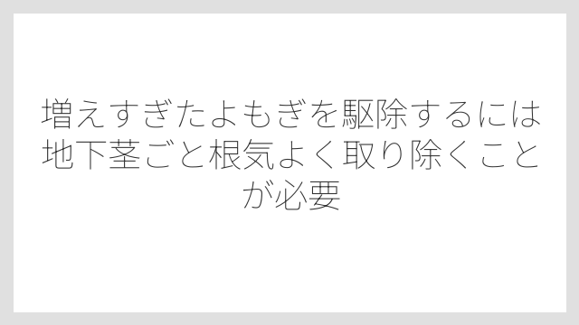 増えすぎたよもぎを駆除するには地下茎ごと根気よく取り除くことが必要