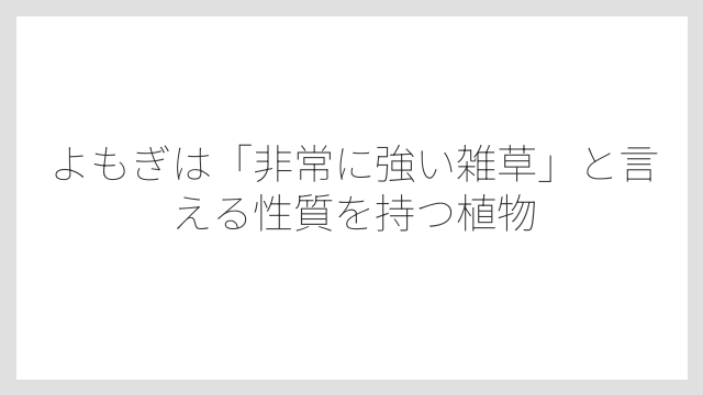 よもぎは「非常に強い雑草」と言える性質を持つ植物