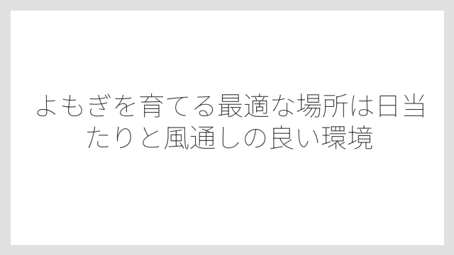よもぎを育てる最適な場所は日当たりと風通しの良い環境