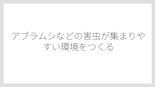 アブラムシなどの害虫が集まりやすい環境をつくる